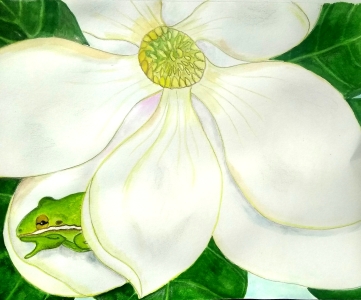 Magnolia and Frog